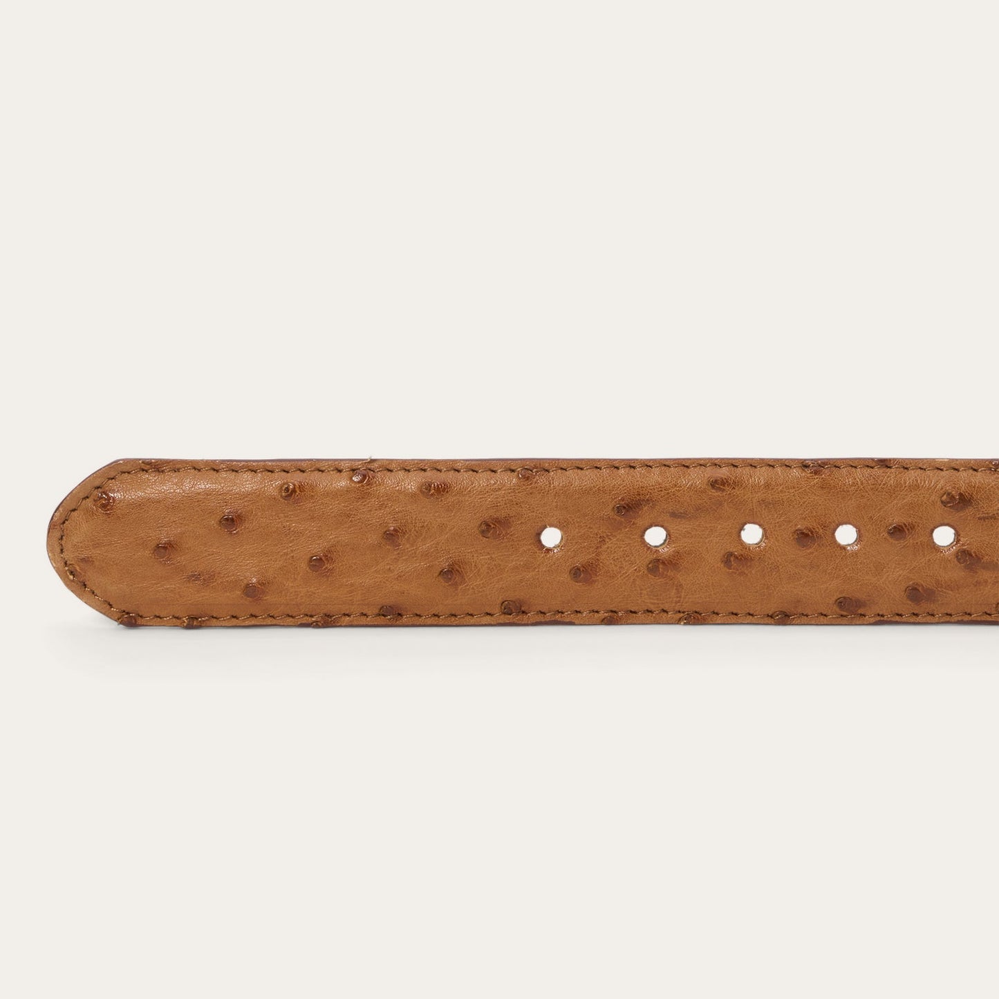 Ostrich Western Tab Belt - 1 1/4" Width | Stetson Antique Cognac