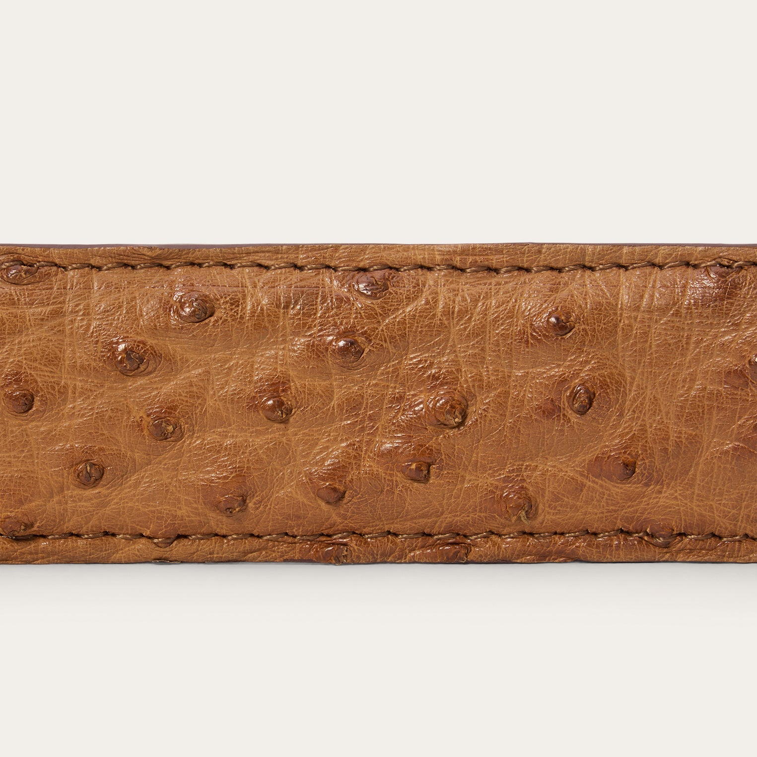 Ostrich Western Tab Belt - 1 1/4" Width | Stetson Antique Cognac