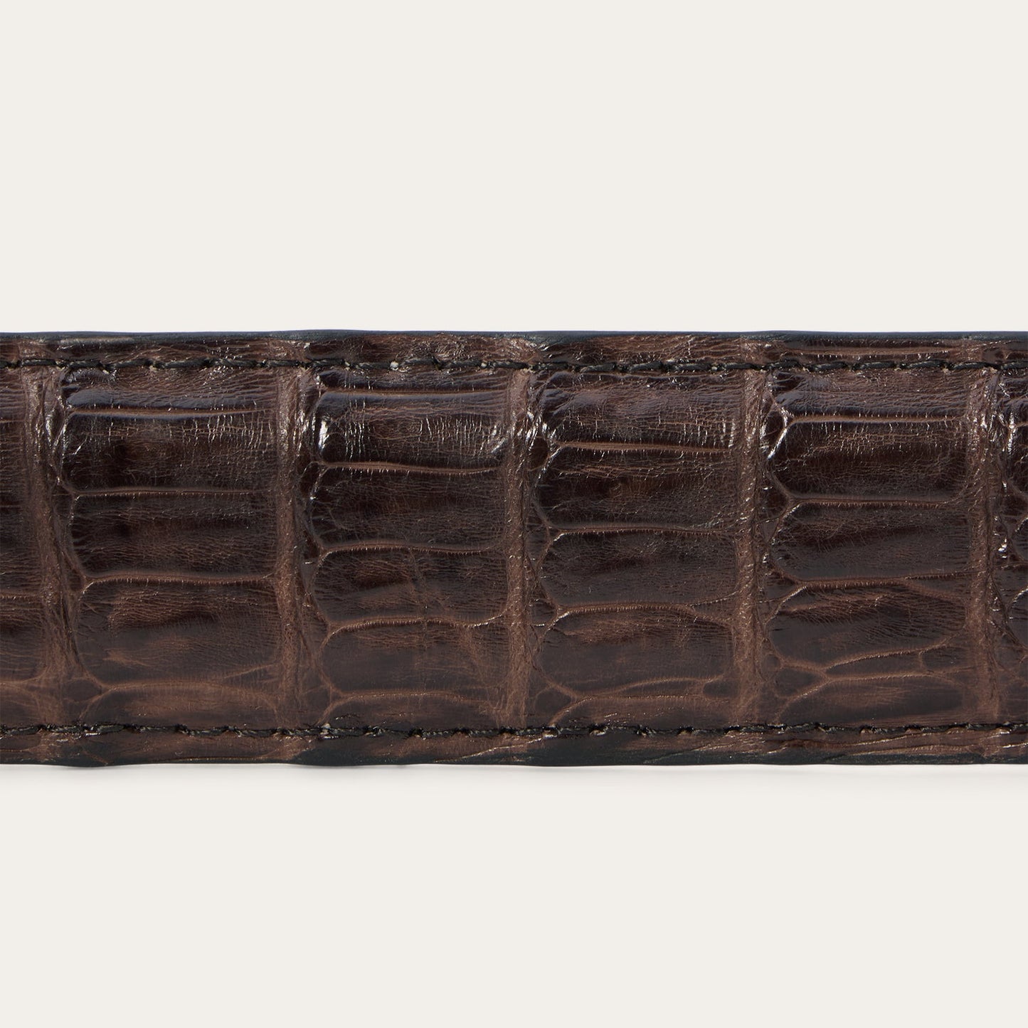 Caiman Western Tab Belt - 1 1/4" Width | Stetson Cigar Classic