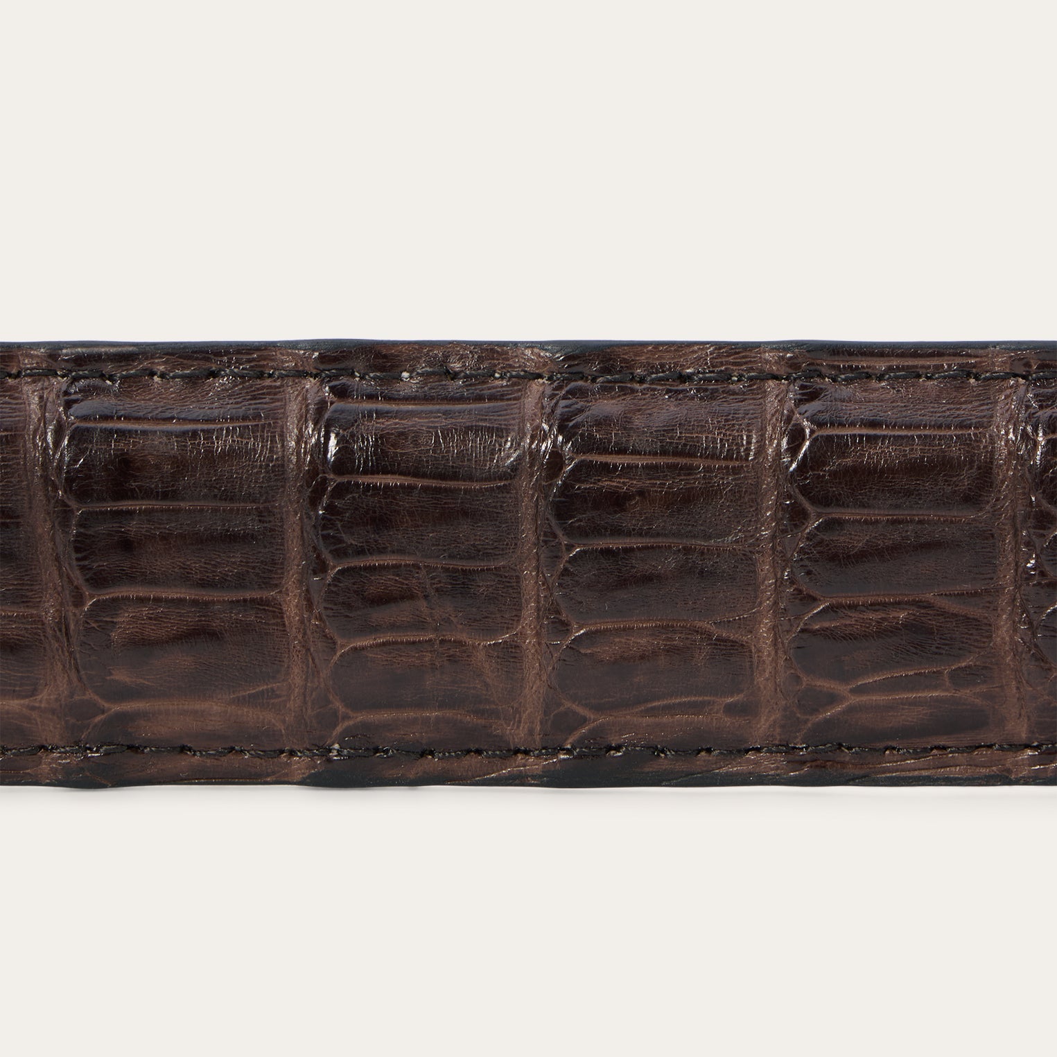 Caiman Western Tab Belt - 1 1/4" Width | Stetson Cigar Classic
