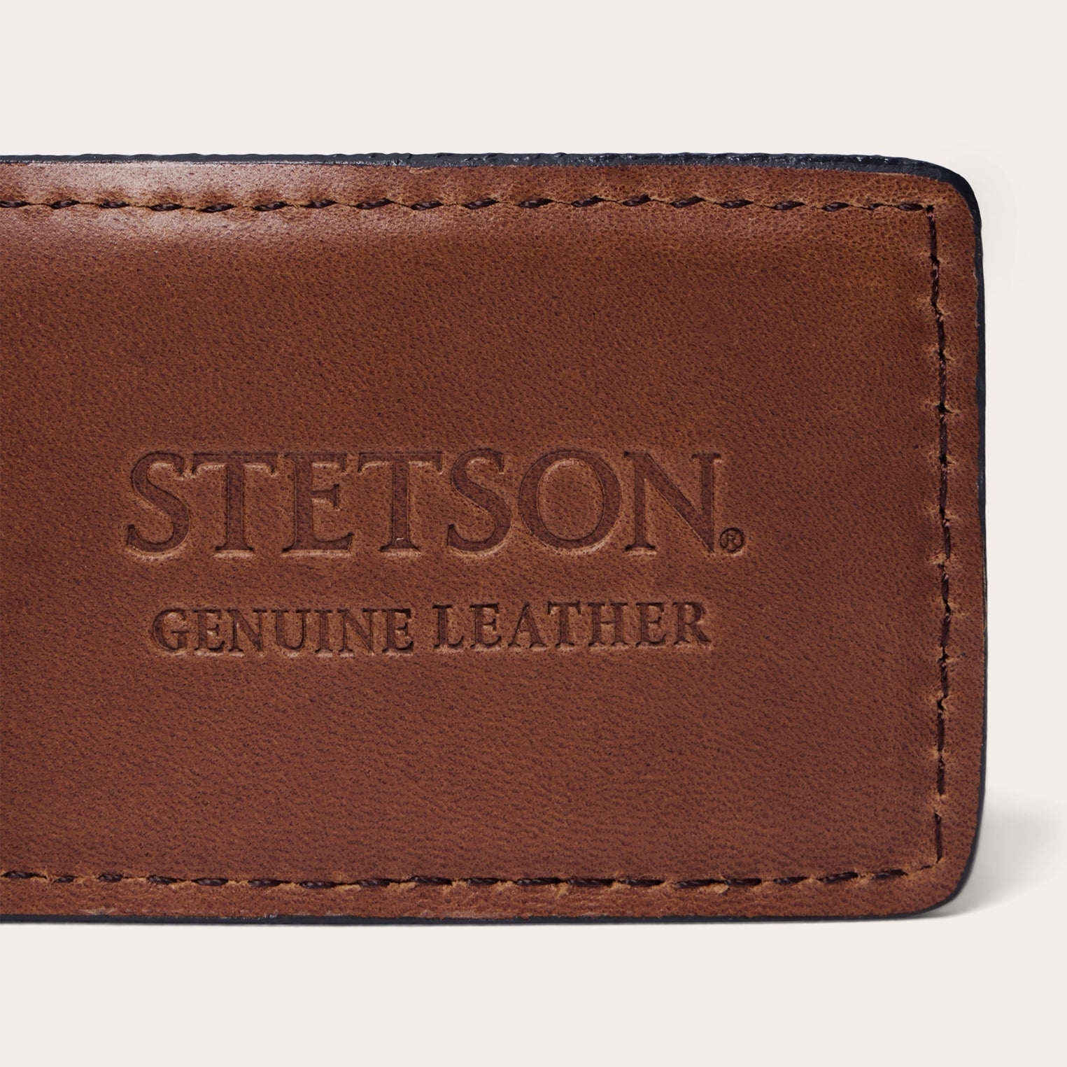 Steer Head Money Clip | Stetson Brown