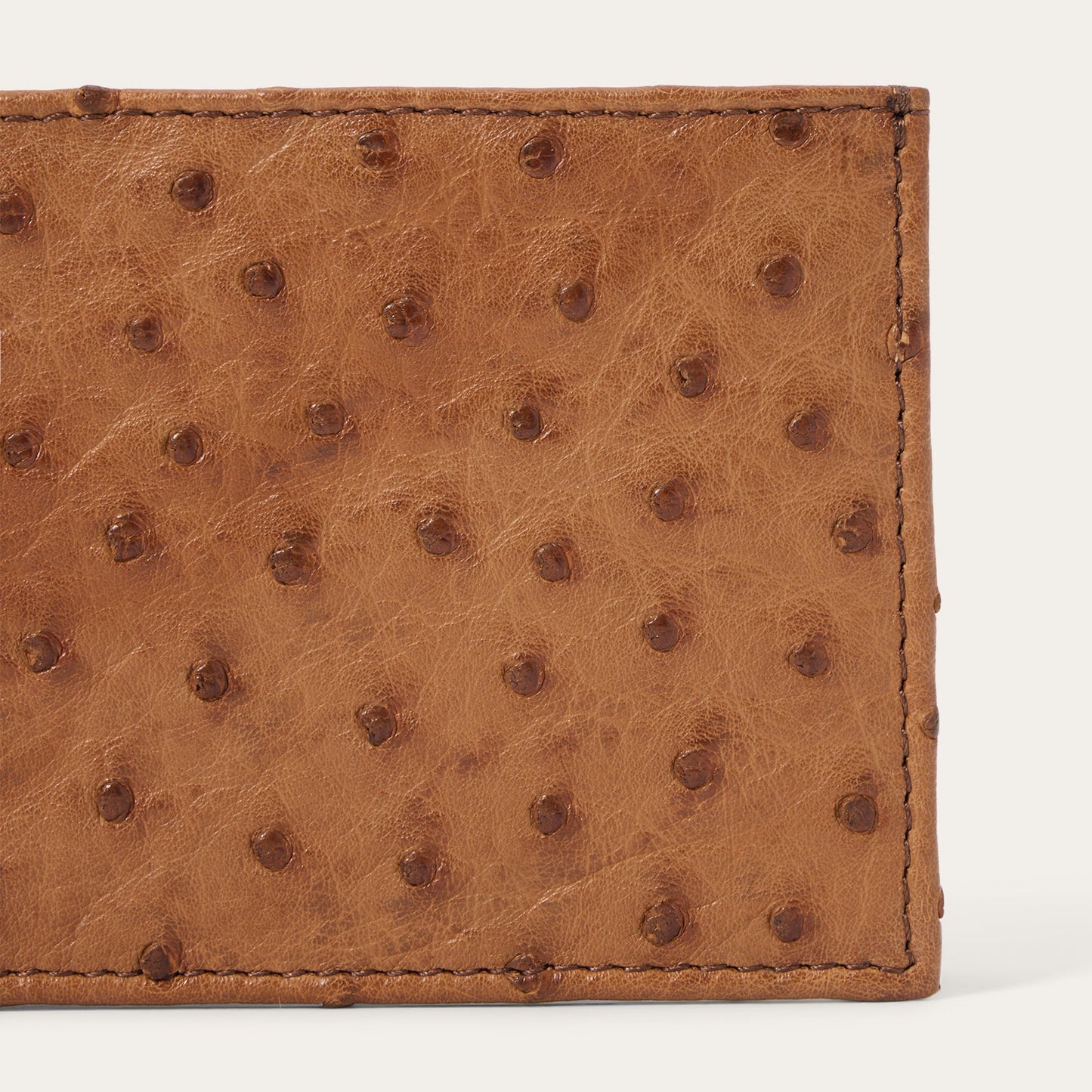 Ostrich Bi-Fold Wallet | Stetson Antique Cognac
