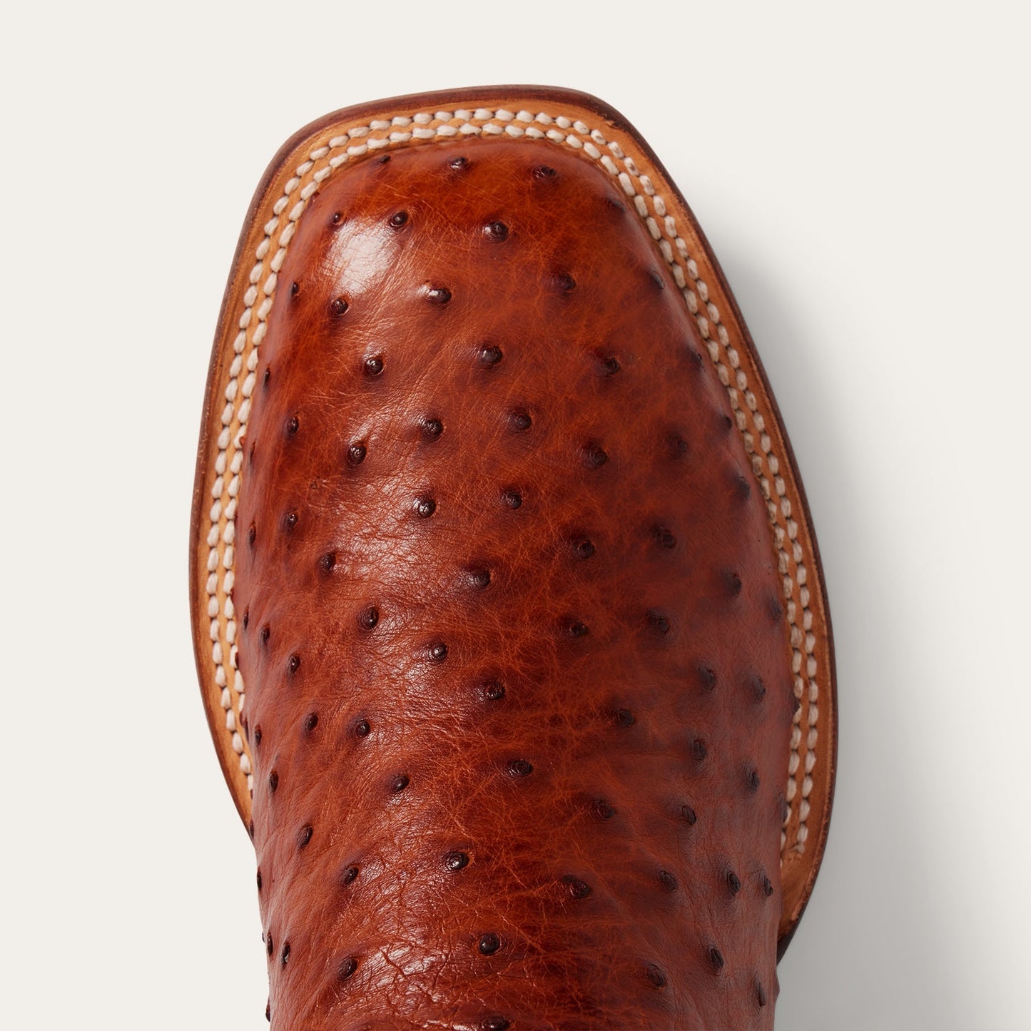 Ozzy Ostrich Boot | Stetson Brown