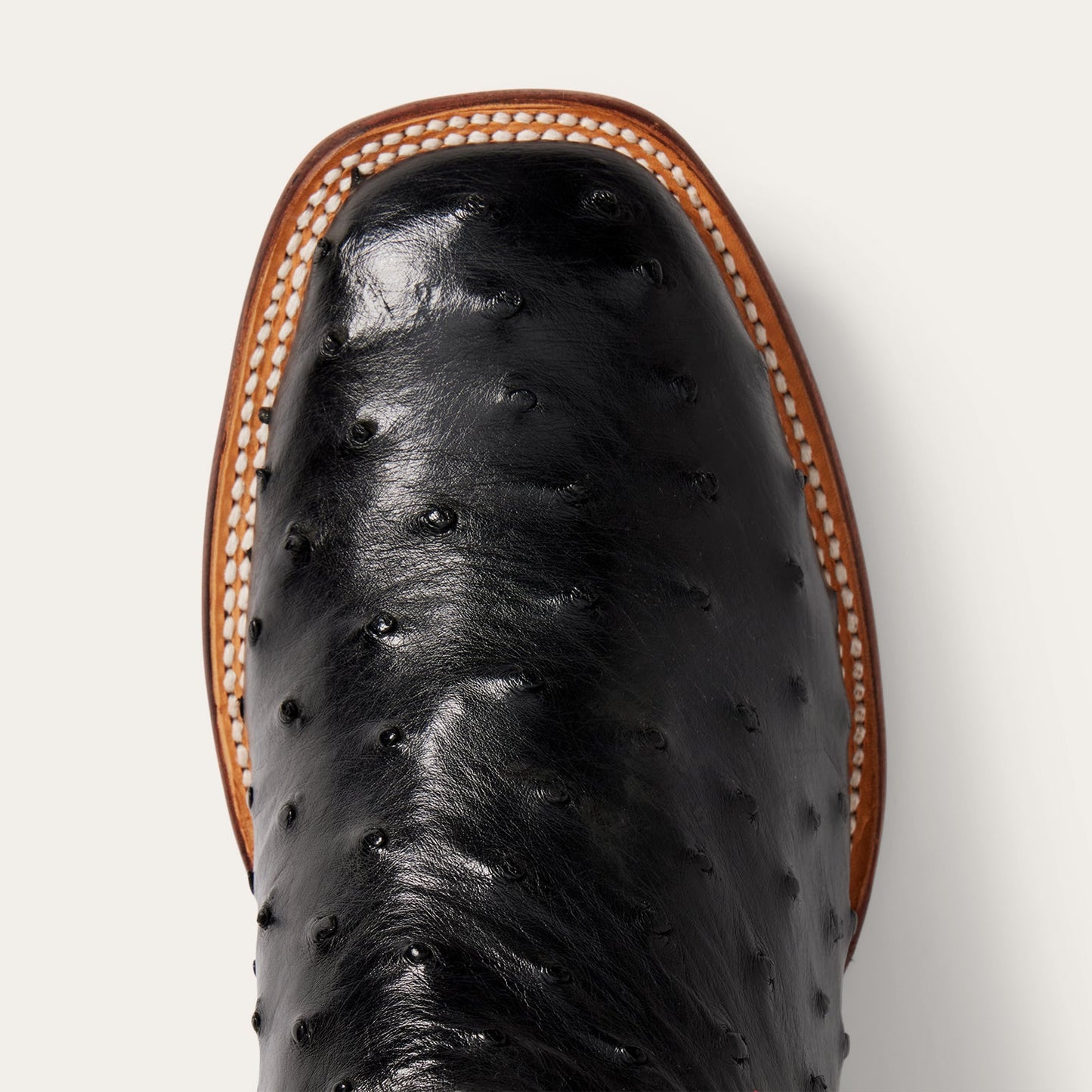 Ozzy Ostrich Boot | Stetson Black