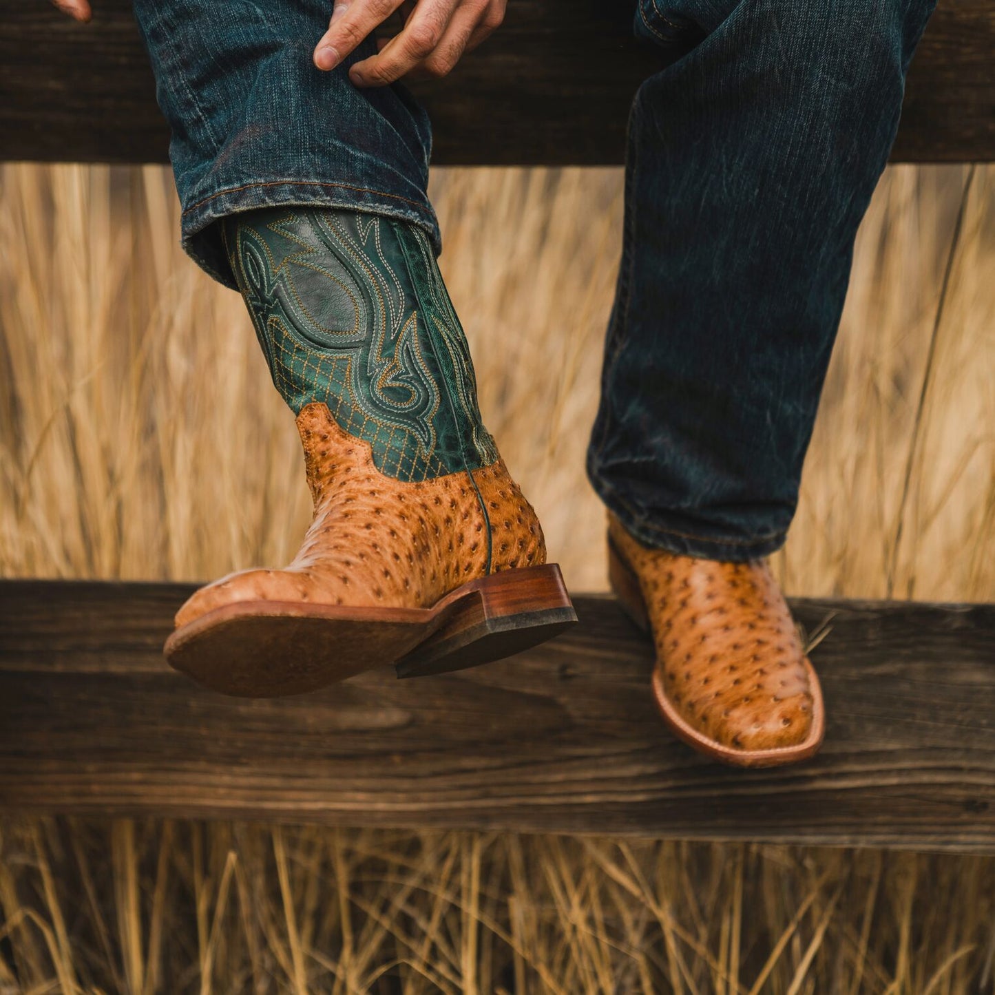 Ozzy Ostrich Boot | Stetson Tan