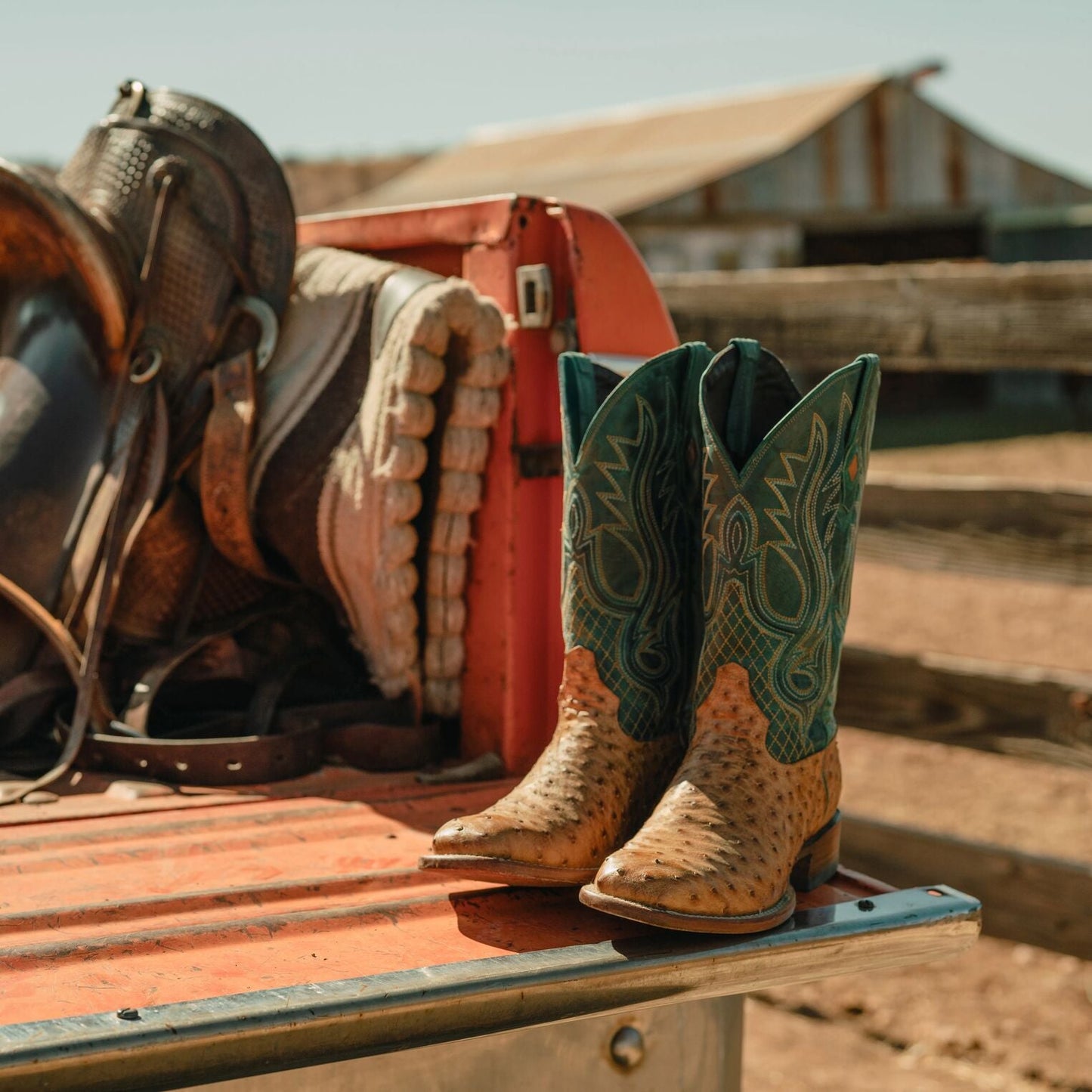 Ozzy Ostrich Boot | Stetson Tan