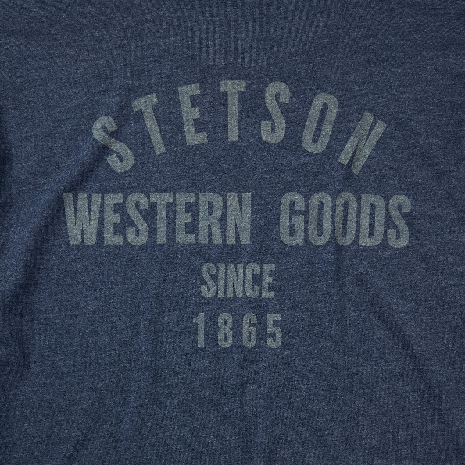 Western Goods Graphic Tee | Stetson Blue