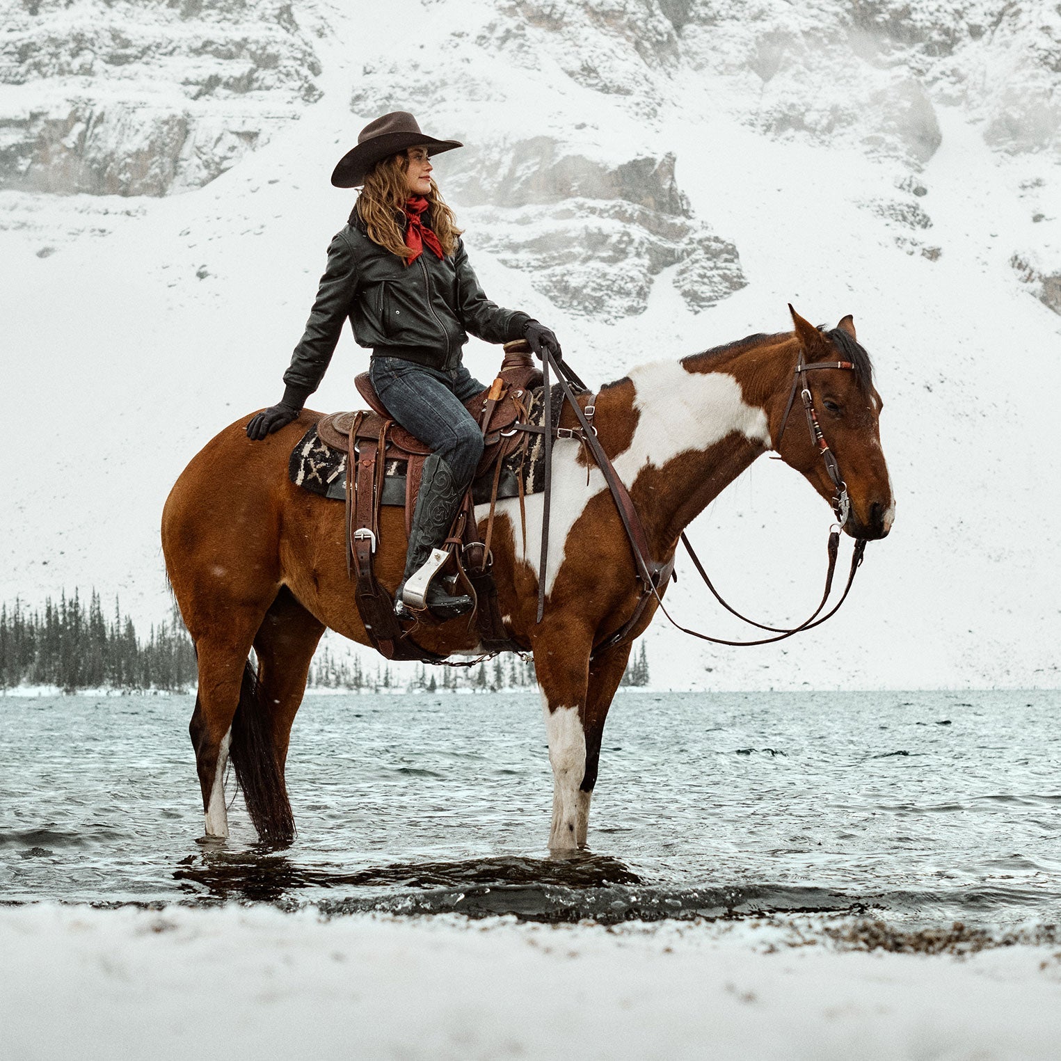 Leather Bomber Jacket | Stetson Black