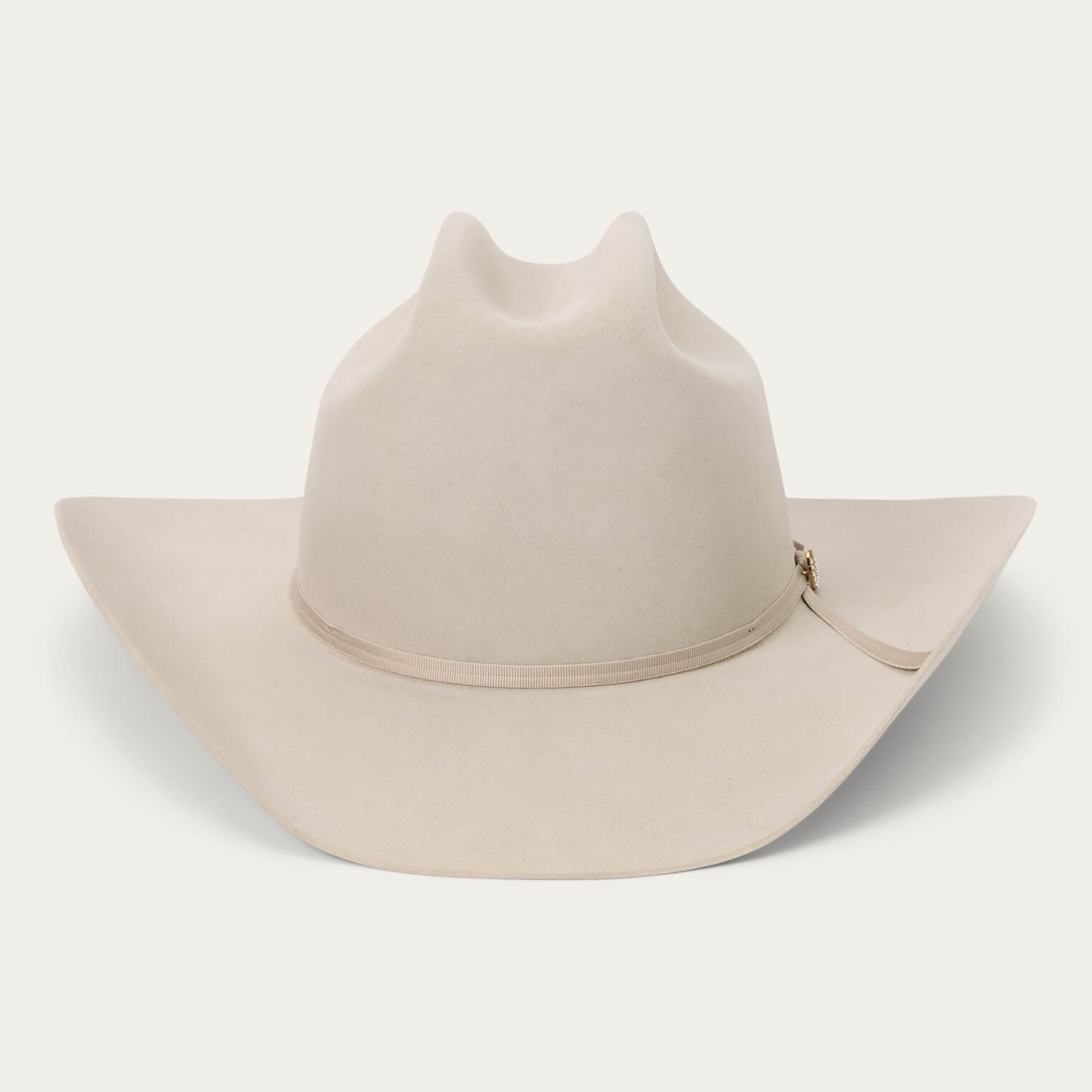 Regal 6X Cowboy Hat | Stetson Silverbelly