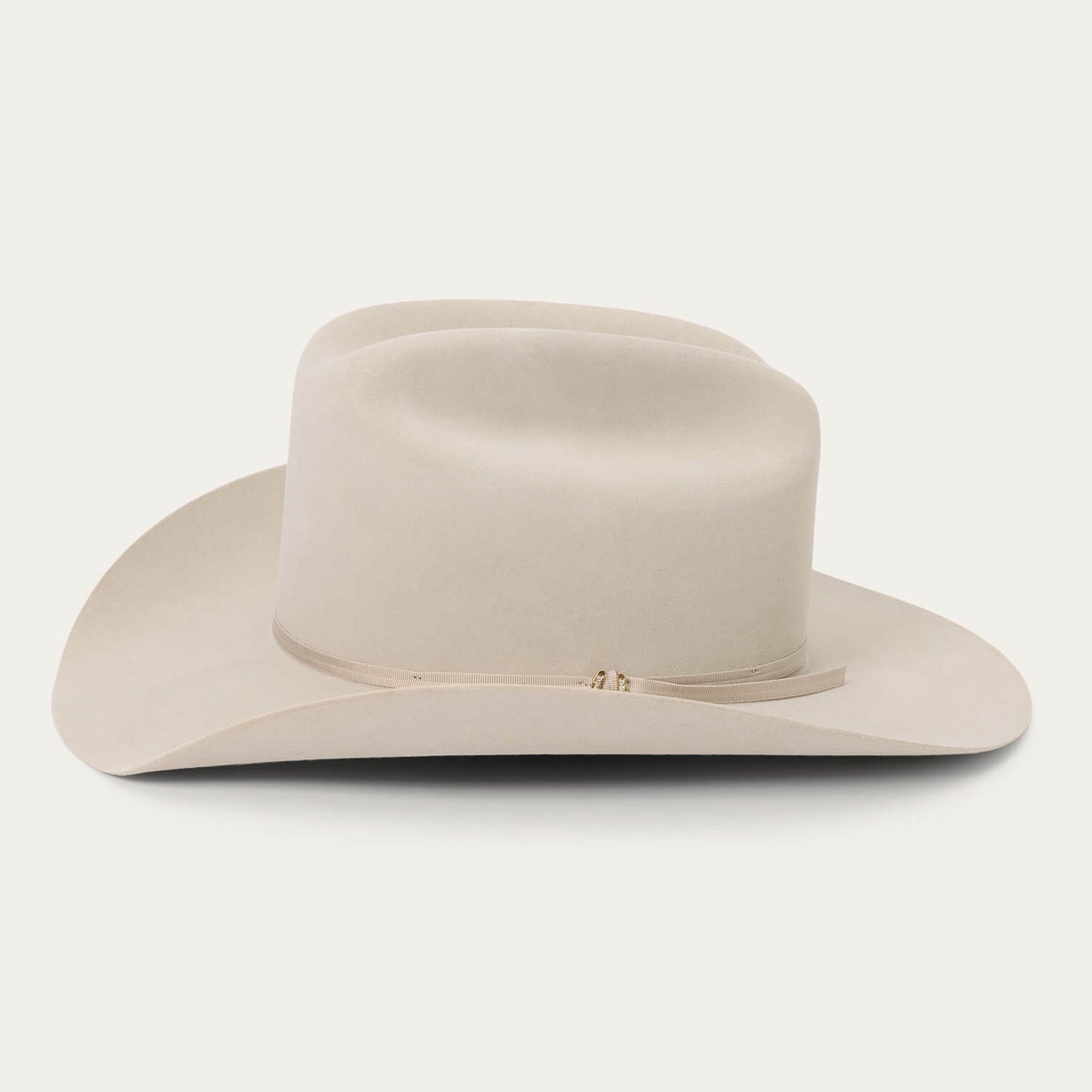 Regal 6X Cowboy Hat | Stetson Silverbelly