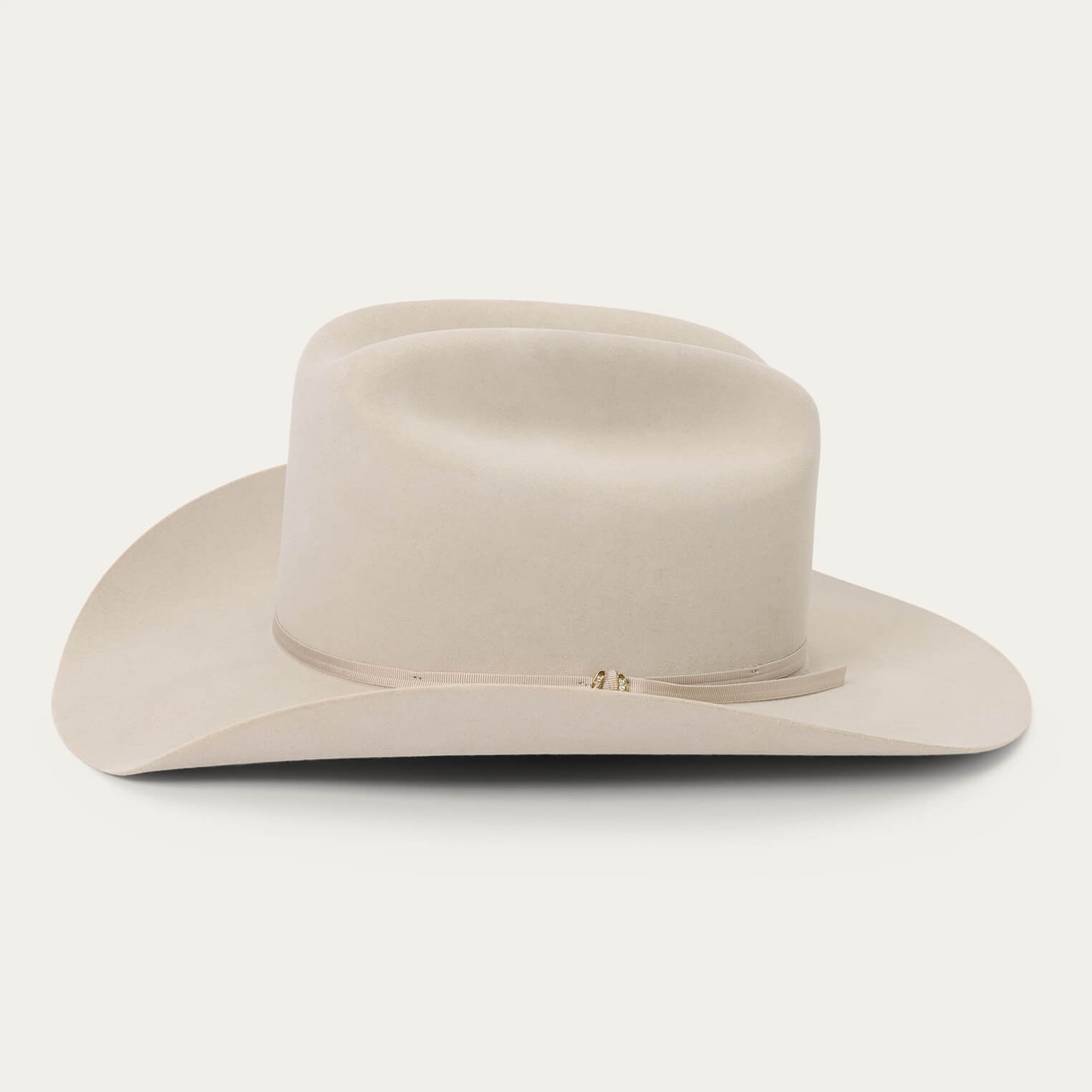 Regal 6X Cowboy Hat | Stetson Silverbelly