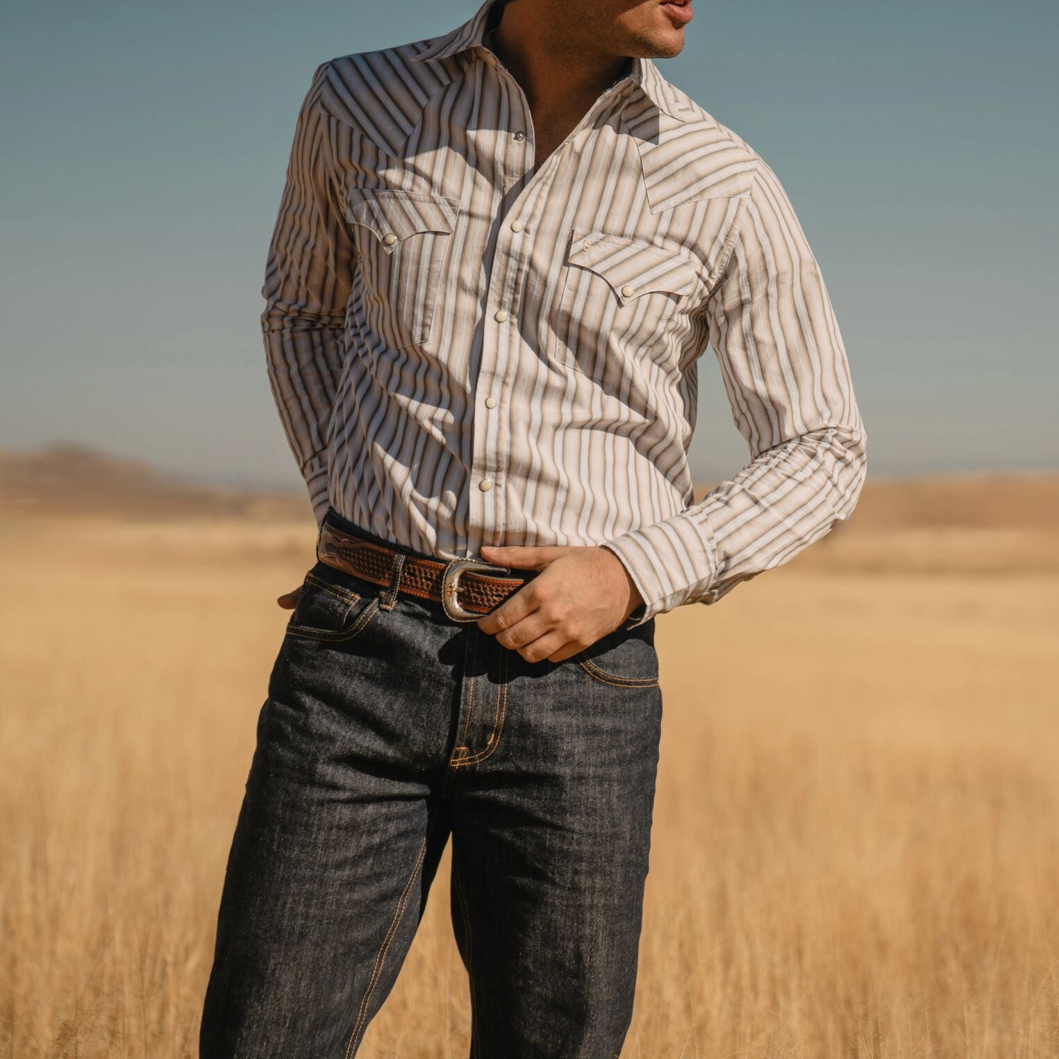 Ombre Stripe Western Shirt | Stetson Brown